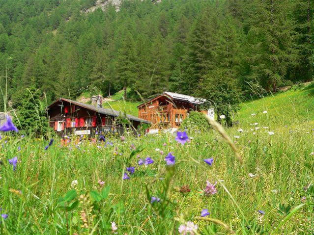 Апартаменты Haus Alpenperle Саас-Альмагель Экстерьер фото